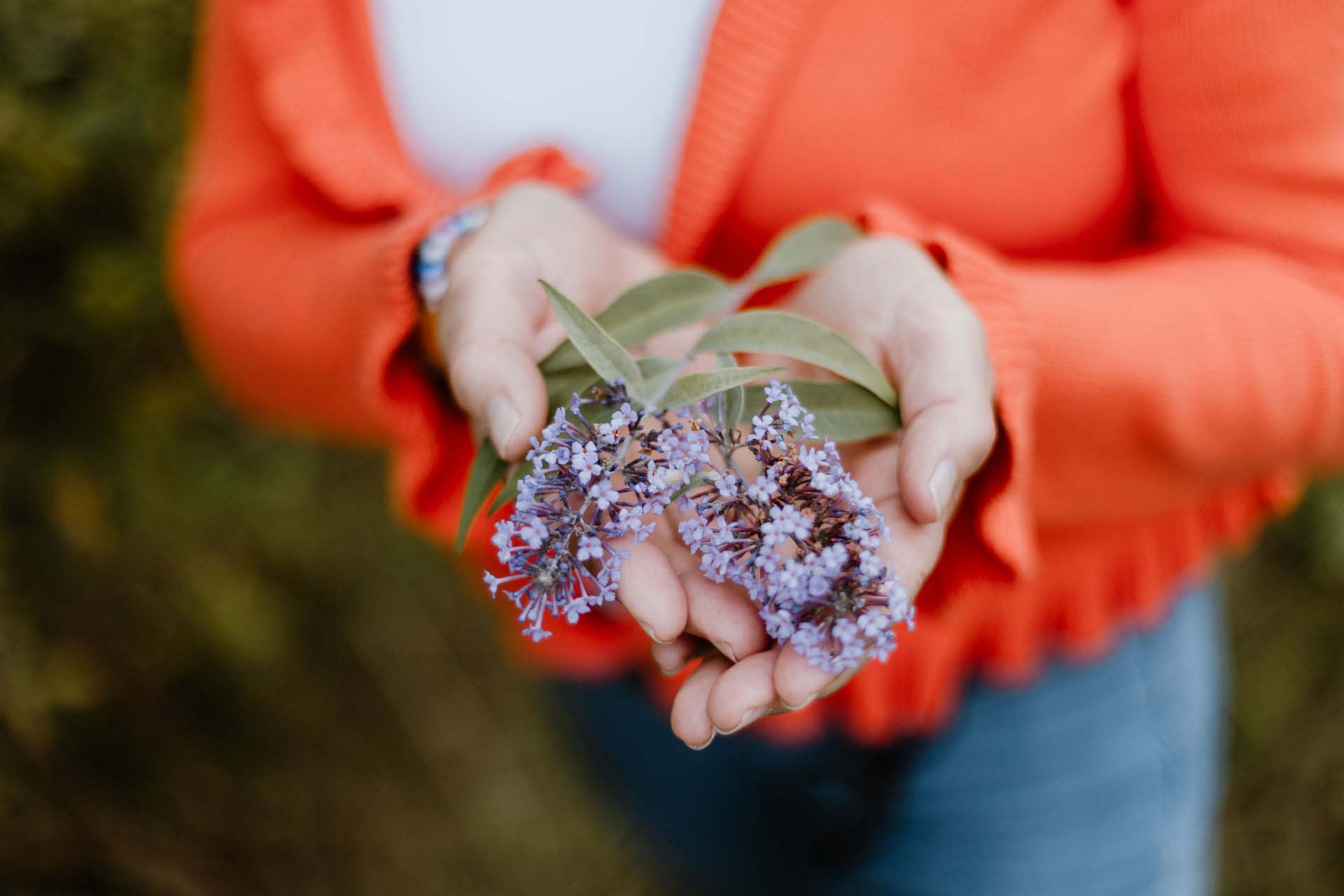 Coaching zwischenbild